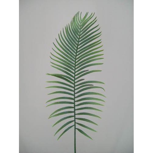 Large Artificial Cycas Palm Leaf (Areca Palm) Artificial Leaves